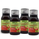 kit 04 Tônico Chá de Goiabeira 60ml - Crescimento Capilar kit 04 Tônico Chá de Goiabeira 60ml - Crescimento Capilar