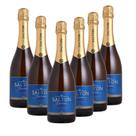 Kit 06 Espumantes Salton Brut 750ml