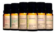 Kit 06 Óleos Essenciais 100% Puro Via Aroma Lavanda Eucaliptus Menta Tangerina Lavandin Alecrim