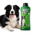 Kit 06 Shampoo Pet 10 em 1 700ml PH Neutro Natural Cães e Gatos Kit 06 Shampoo Pet 10 em 1 700ml PH Neutro Natural Cães e Gatos