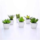 Kit 06 Suculentas Artificial Sortida Vaso Branco 6x6 Cm