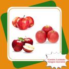 Kit 1 Gala 1 Julieta 1 Eva Mudas de Maça Enxertadas