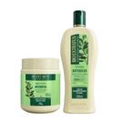kit 1 Shampoo 1 Banho creme Antiqueda Jaborandi 500 ml Bio Extratus kit 1 Shampoo 1 Banho creme Antiqueda Jaborandi 500 ml Bio Extratus