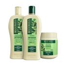 kit 1 Shampoo 1 Condicionador 1 Banho creme Antiqueda Jaborandi 500 ml