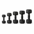 Kit 1 un. halteres 1kg, 3kg, 5kg, 7kg e 9kg para academia, treino fitness, musculação em casa, alta performance e resistência profissional qualidade
