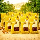 Kit 10 Areia Gato Mandiocat Higienica 20kg Natural Mandioca