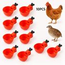 Kit 10 Bebedouros Automáticos Para Aves Galinha Pato Codorna
