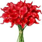 Kit 10 buque flores artificiais copos de leite real Vermelho