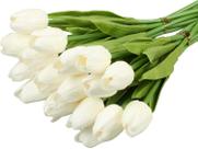 Kit 10 Buque Hastes Flores Tulipas Real Ao Toque Branco