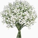 Kit 10 Buquês de Flores Gipsofila Flor Artificial Folhagem
