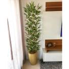 Kit 10 Buques Galhos Folhagem de Bamboo Decorativos Grande 1.5mt