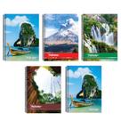 Kit 10 Caderno Natureza Capa Dura Reforçado 96 Folhas Arame