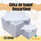Kit 10 Caixas De Isopor 1,5 Litros Sorvetes E Medicamentos