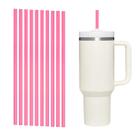 Kit 10 Canudos Pink Plástico Rígido Reutilizável 31cm Largo