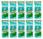 Kit 10 Composto de Erva Mate com Menta Barão 500g