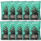 Kit 10 Fertilizante Adubin Para Cactos E Suculentas 50g Kit 10 Fertilizante Adubin Para Cactos E Suculentas 50g