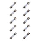 Kit 10 Fusíveis de Vidro 10A 5mmx20mm