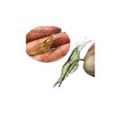 KIt 10 Isca Artificial Camarão Pesca Tucunaré Traíra Corvina