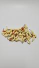 Kit 10 Iscas Artificiais Larva Aromatizada Kit 10 Iscas Artificiais Larva Aromatizada