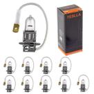 Kit 10 lâmpada h3 halógena 55w 12v