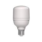 Kit 10 Lâmpadas - Lâmpada LED Avant 30W E27 6,5K Branca 25000H 2400 Lumens Bivolt
