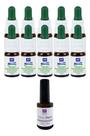Kit 10 Micotin 10ml + 1 Ônico Blend 10ml Pincel