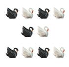 Kit 10 mini Cisne Negro Branco Maquete Mini Mundos Terrário