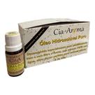 KIT 10 Óleo Hidrossolúvel Capim Limão Umidificadores 10ml