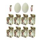 Kit 10 Ovos Escavação Dinossauro Rex Fossil