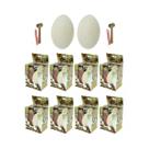 Kit 10 Ovos Escavação Dinossauro Rex Fossil Lembrancinha Dm Toys