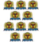 Kit 10 Patch Bordado Radiologia Termocolante Aplique 9x8cm