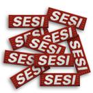 Kit 10 Patch Bordado Sesi Moletom Termocolante Aplique 15x5