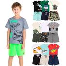 Kit 10 Peças de Roupas infantil para Menino 5 Camisetas 5 Bermudas Kit com 5 Conjuntos Infantil Verão para Menino dias quentes