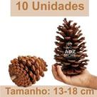 Kit 10 Pinhas Premium (Grande) tam:13-18 cm - Decoração, Natal, Artesanato, Aves e Roedores