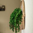 Kit 10 Plantas Artificiais Pendentes Silicone 35cm Para Ambientes Modernos