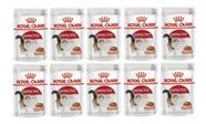 Kit 10 Unidades Royal Canin Sachê Instinctive Gato Adult 85g