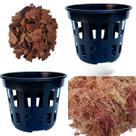 Kit 10 Vasos Vazados Plantas Pote 15+Musgo Substrato+Pinus