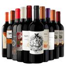 Kit 10 Vinhos Tintos Best Sellers