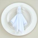Kit 100 Pçs Anel para Guardanapo 100 Lugares Cristalino 4x3cm Argola