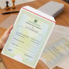 Kit 100 Protetores Porta Documento Plástico Grande 23x32cm Para Certidão, Certificado e Folhas A4 e Ofício