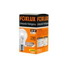 Kit 10PC Lampada Halogena 50w 12v Classica - Foxlux