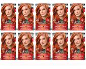 Kit 10un Coloração Beautycolor Kit 76.44 Ruivo Absoluto