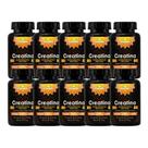 Kit 10x Suplemento Creatina 500mg 120 Cápsulas - CHAMEL