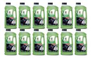 Kit 12 Aditivo De Radiador Castrol Inorgânico Verde Pu Kit 12 Aditivo De Radiador Castrol Inorgânico Verde Pu