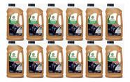Kit 12 Aditivo De Radiador Castrol Orgânico Laranja Pu Kit 12 Aditivo De Radiador Castrol Orgânico Laranja Pu