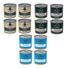 Kit 12 Atum Sólido Tours Lata 255g