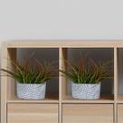 Kit 12 buquês folhagem artificial enfeites e painel distribuidor planta artificial preço de atacado - DE27065 Kit 12 buquês folhagem artificial enfeites e painel distribuidor planta artificial preço de atacado - DE27065