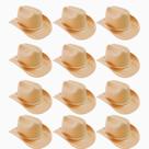 Kit 12 Chapéu Cowboy em E.V.A