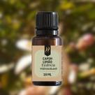 Kit 12 Essências p aromatizador Difusor elétrico Nattuaromas