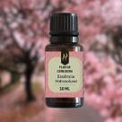 Kit 12 Essências p aromatizador Difusor elétrico Nattuaromas